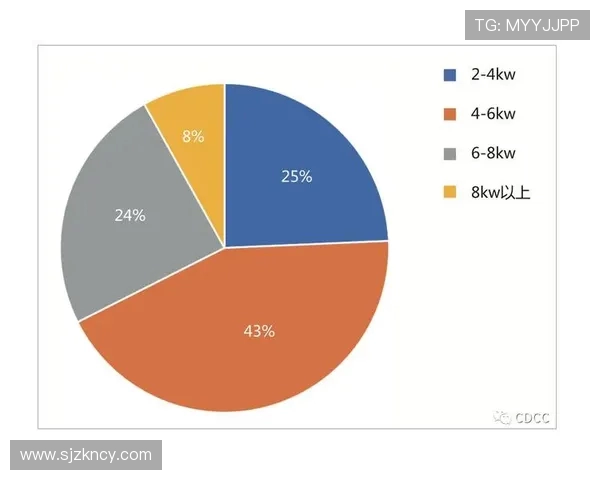 上海篮球队团队协作表现的数据分析与提升策略研究