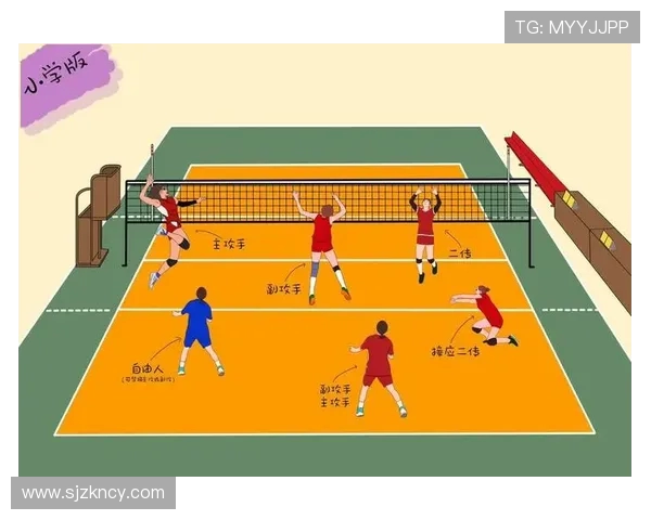 成都排球队的节奏探秘：深度解析排球运动的魅力与团队协作