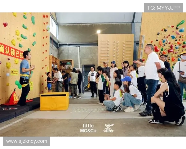 武汉攀岩队运营揭秘：探索攀岩深度与团队成长的奥秘