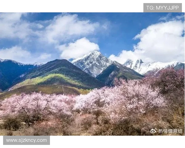 景菡一：在繁华与宁静之间寻找自我与梦想的旅程