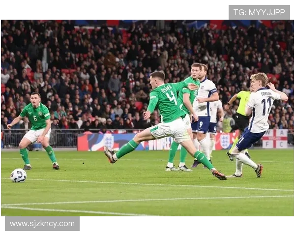 爱尔兰迎战奥地利世预赛激战在即球迷期待精彩对决