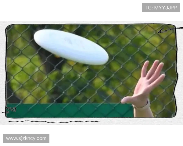 飞盘运动的魅力与挑战张伟分享他的飞盘生涯与成长故事