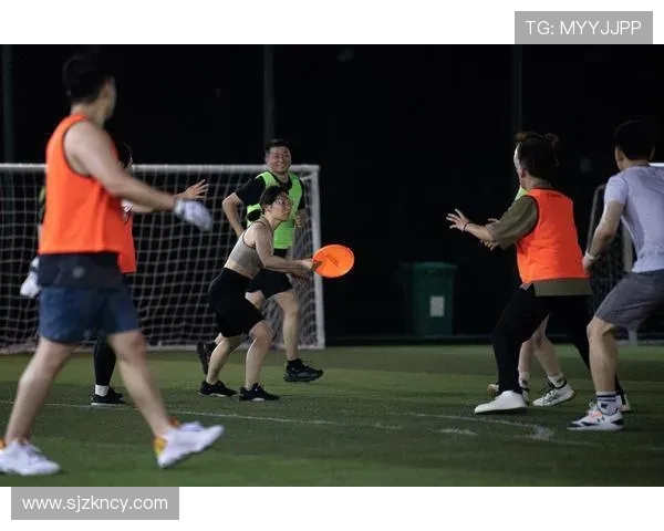 南京飞盘队的速度与激情探索飞盘运动的魅力与挑战