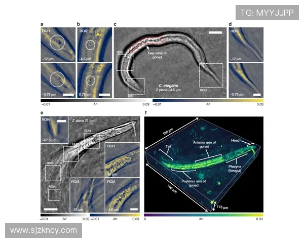 南京街舞队战术解析与对比研究深入探讨团队风格与竞争策略