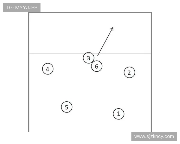 成都排球队反击体系解析：排球战术的创新与实践探索