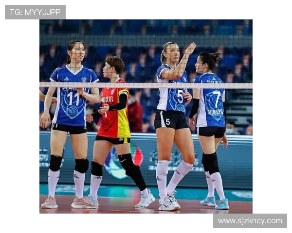 上海排球队实力分析及其在联赛中的表现评估